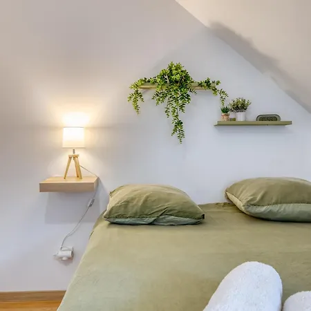 Appartement Roseraie - Le Jardin Des Plantes